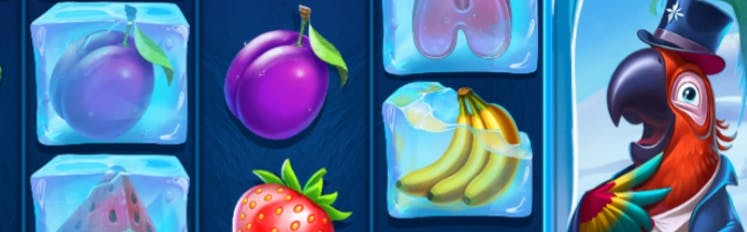 vanessa slots